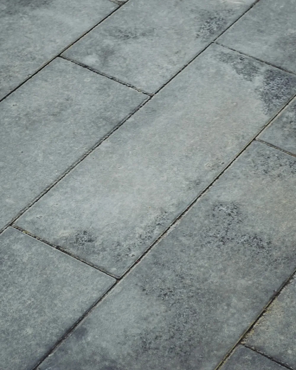 Bluestone Paver